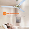 MODI 56" Ceiling Fan - MODEL MD-HWF2006-D WH MODI